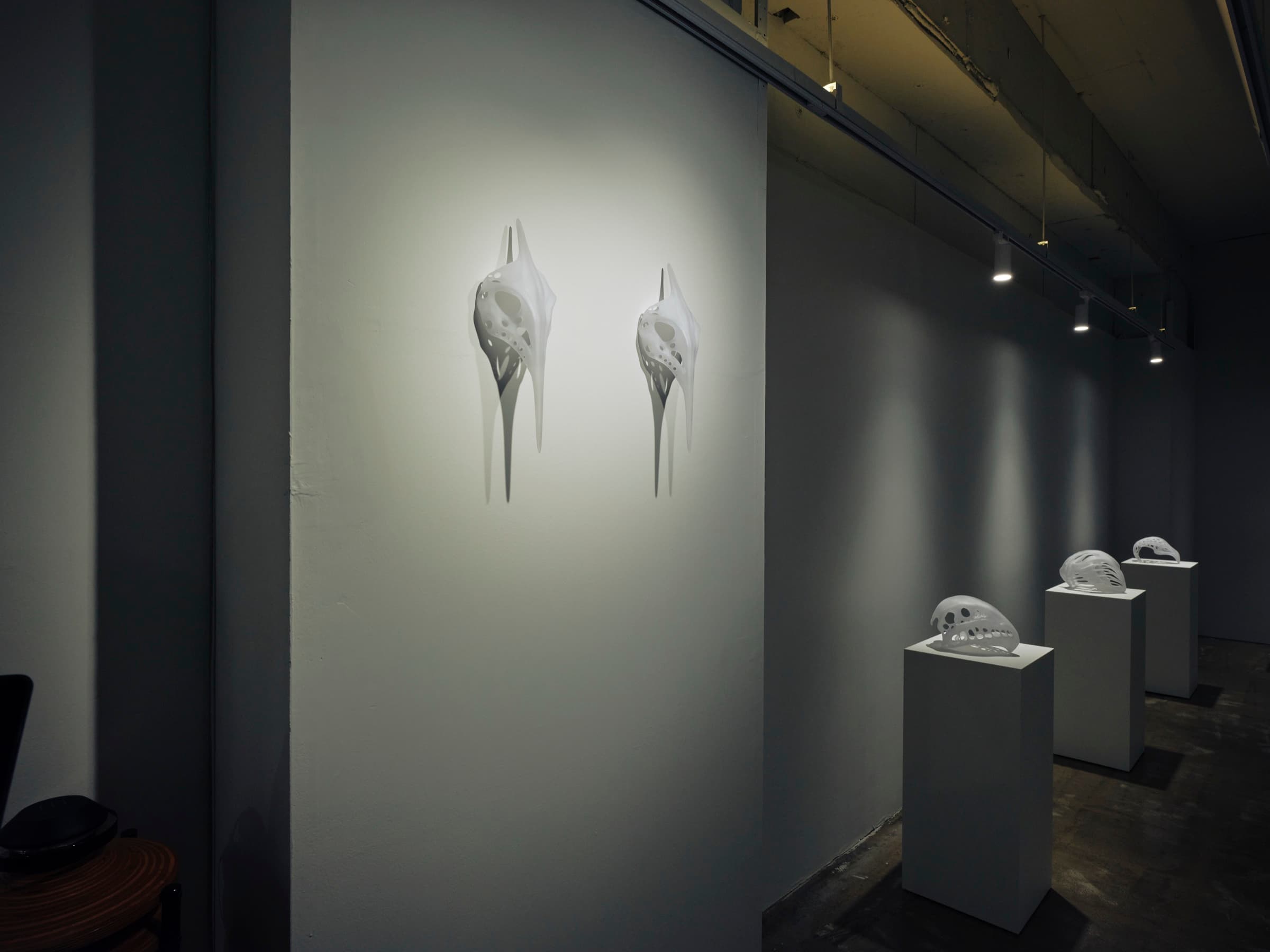 Second Anatomy — installation view 2