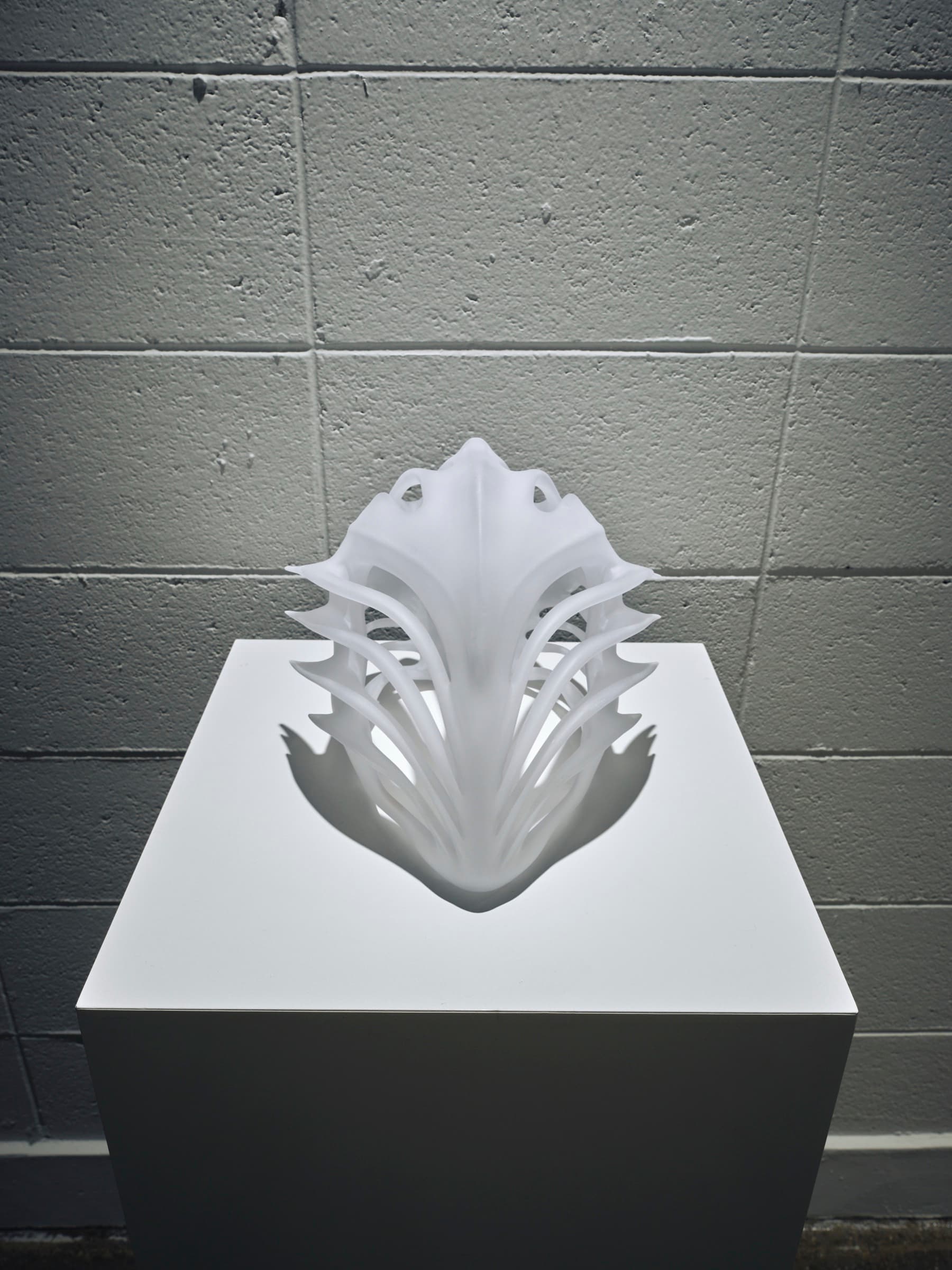 Second Anatomy — installation view 5